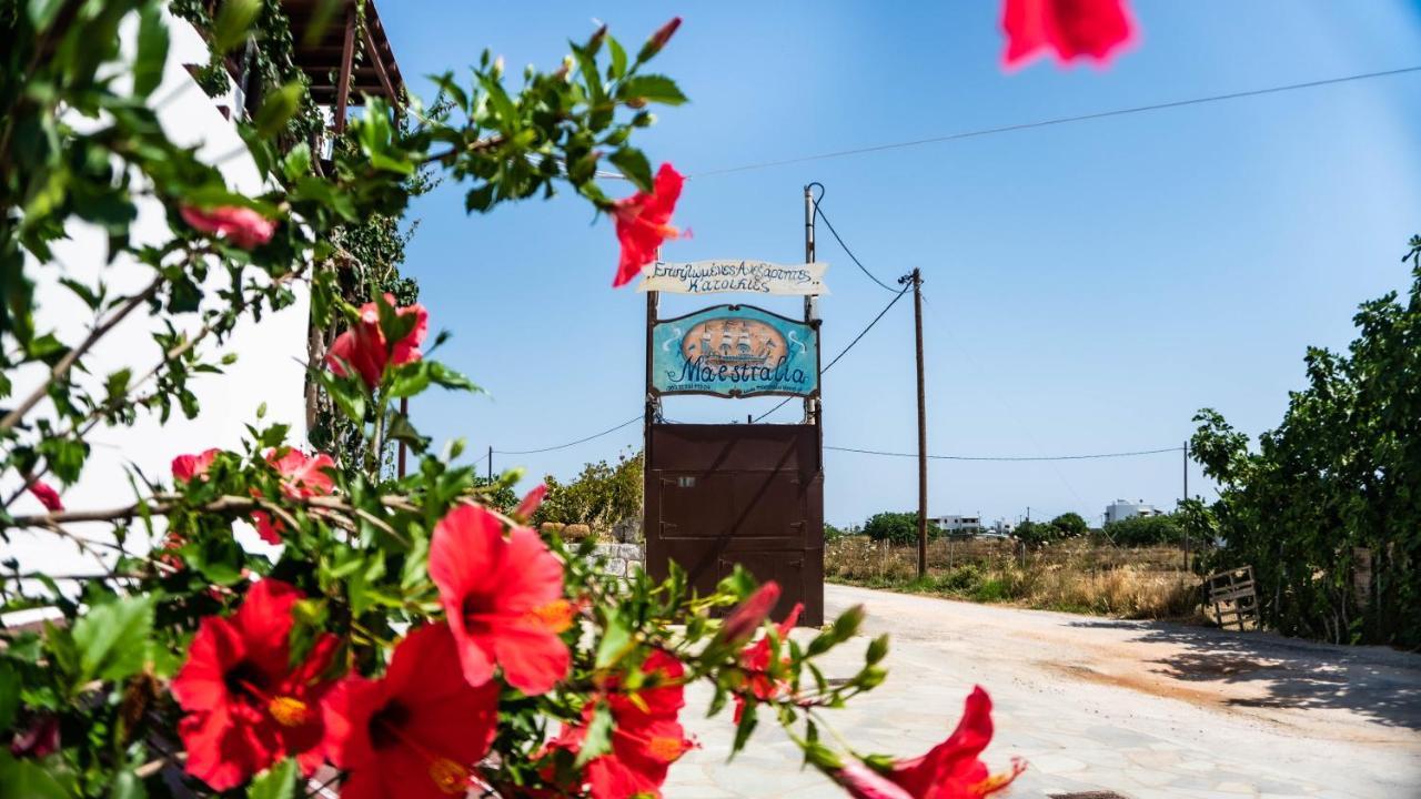 Ferienwohnung Maestralia Skyros Exterior foto